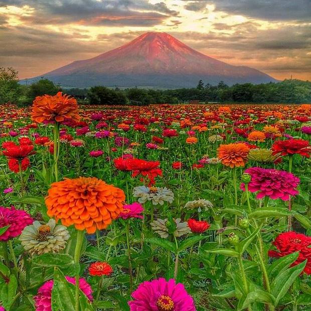 Mount-Fuji-in-Japan.jpg