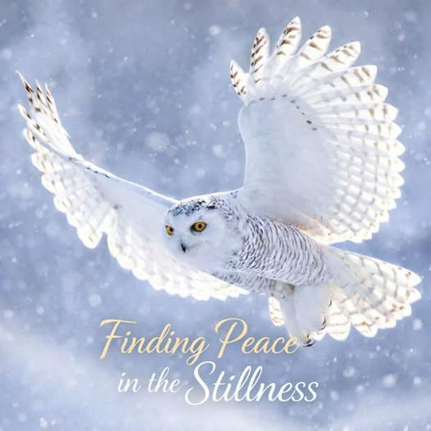 finding peace in the stillness.jpg