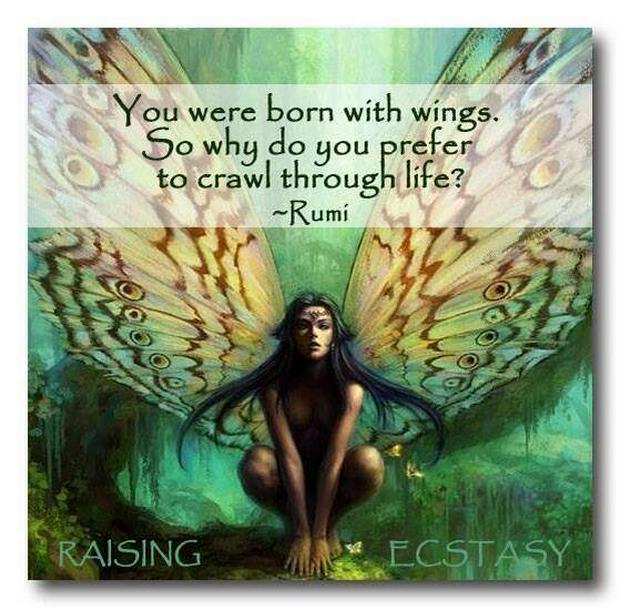 You-were-born-with-wings.jpg