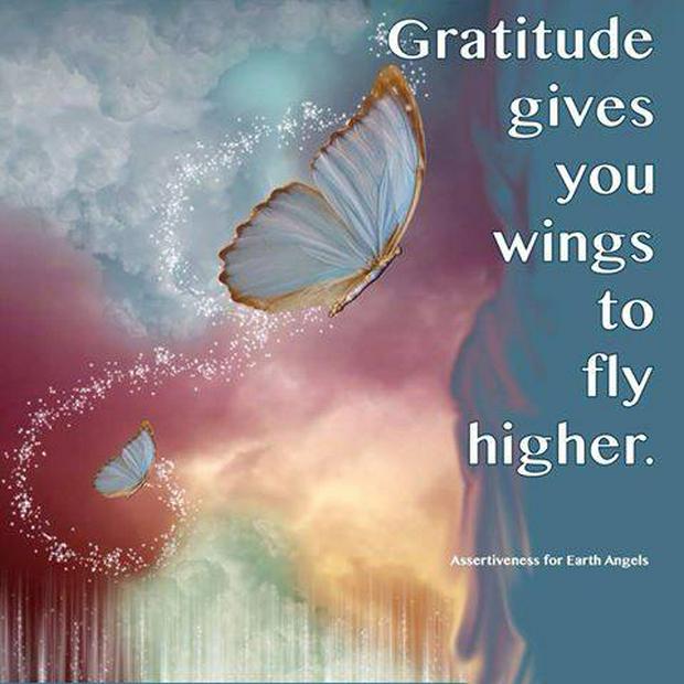 gratitude-gives-you-wings-to-fly-higher.jpg