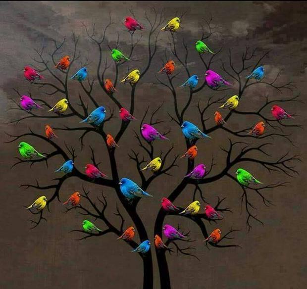 colorful-birds-on-a-black-tree-IS.jpg