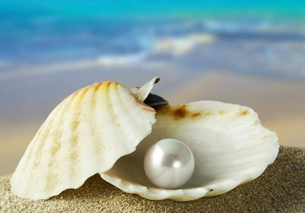 pearl-in-oyster-shell.jpg