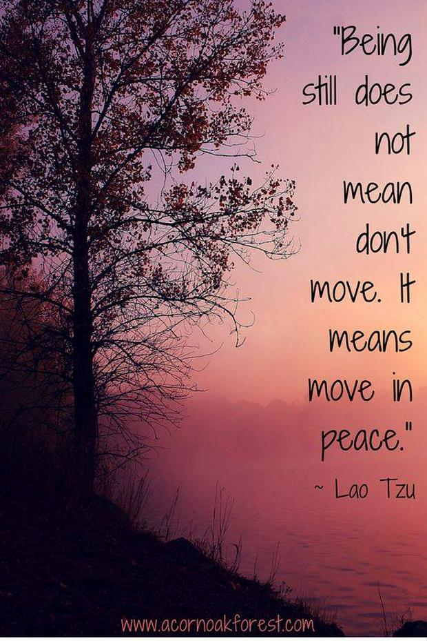 stillness-move-peace.jpg