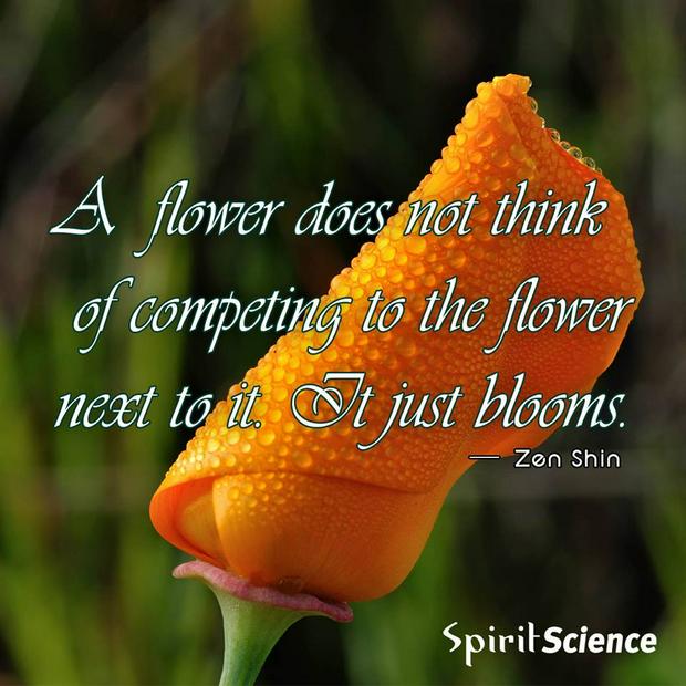 a-flower-does-not-think-of-competingIS.jpg