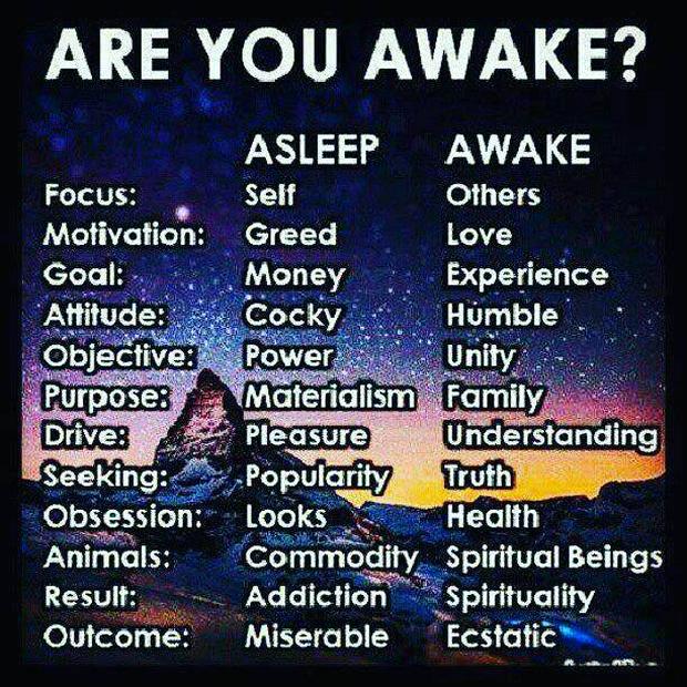 are-you-awakeIS.jpg