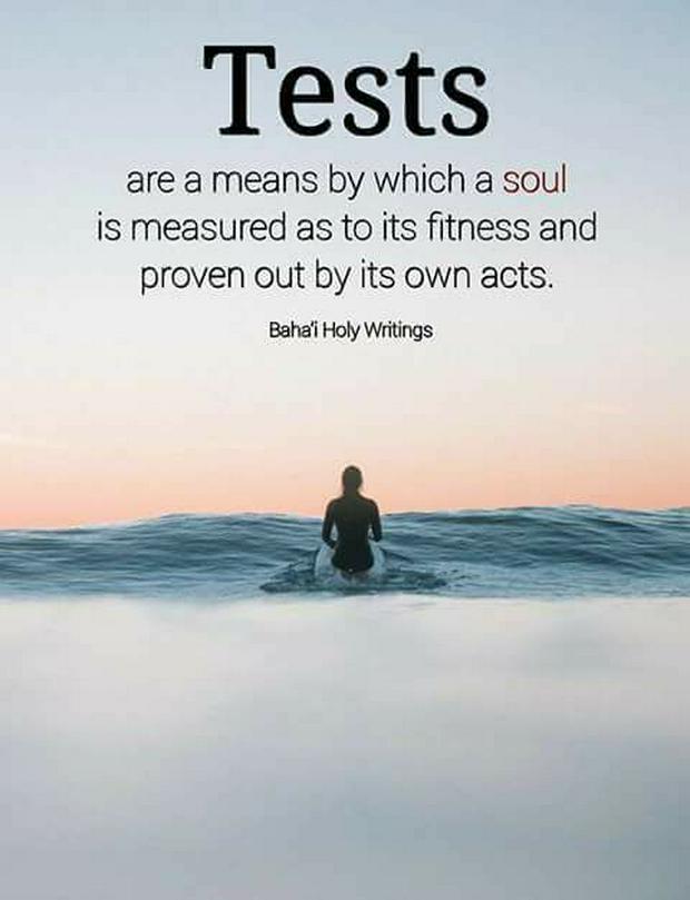 tests-soul-fitnessis.jpg