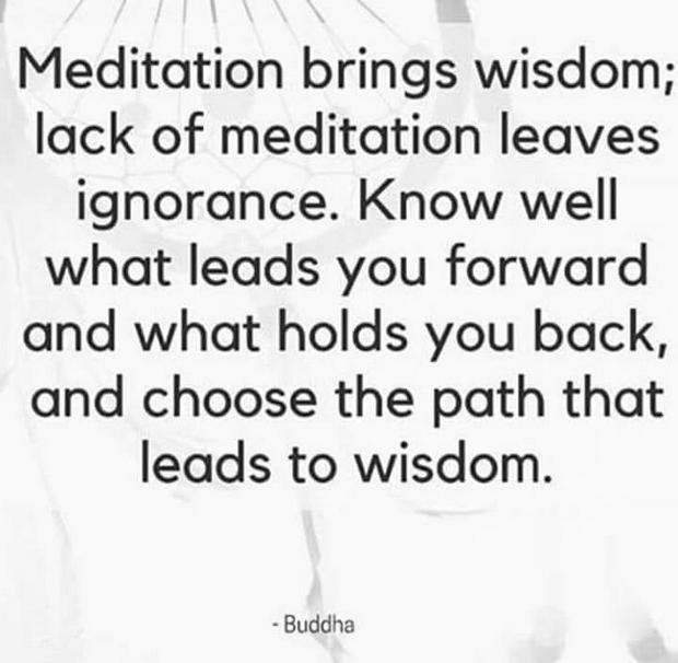 meditation-wisdom-ignorance-pathIS.jpg