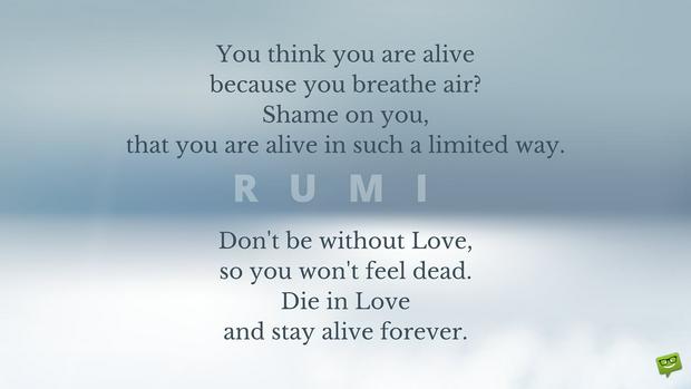 love-air-shame-dead-rumi-IS.jpg