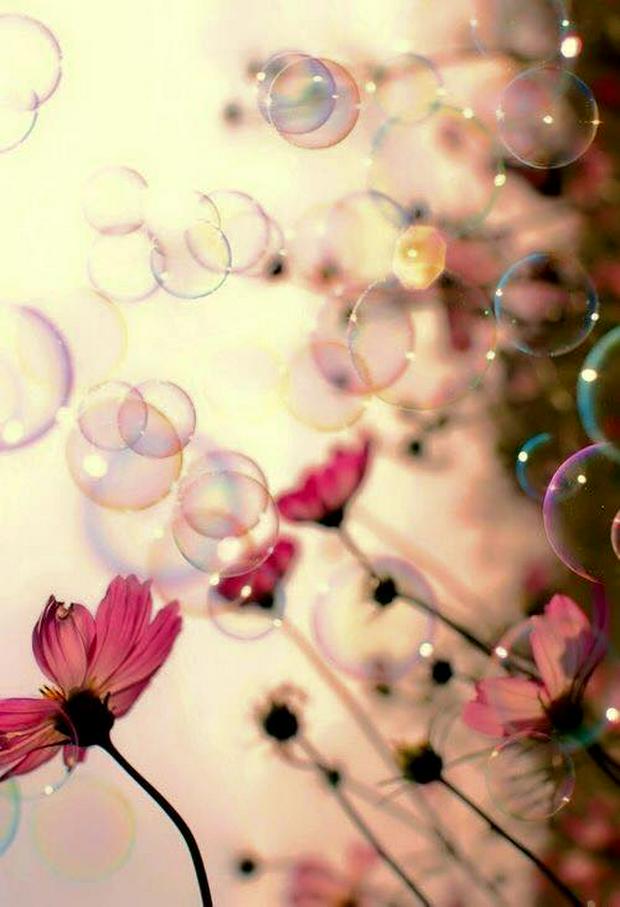 flowers-and-bubbles.jpg