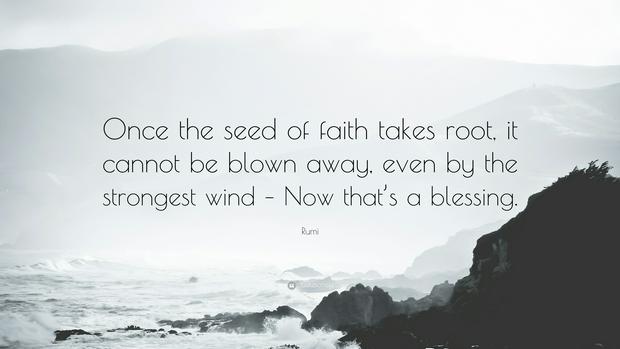 Rumi-Quote-Once-the-seed-of-faith-takes-root-it-cannot-be-blown.jpg