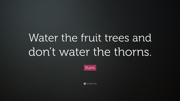 water-the-fruit-tree-not-the-thorns-Rumi-IS.jpg