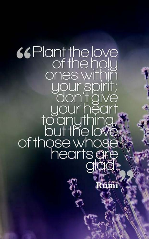 The-love-of-the-holy-ones-rumi.jpg