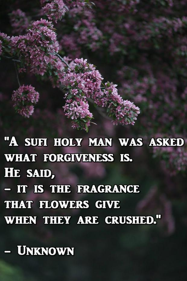 fragrance-forgiveness-IS.jpg