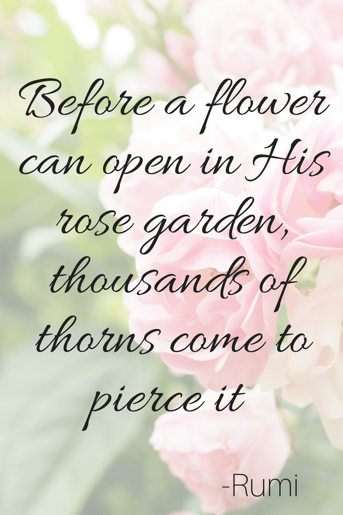 flower-thorns-rumi-is.png