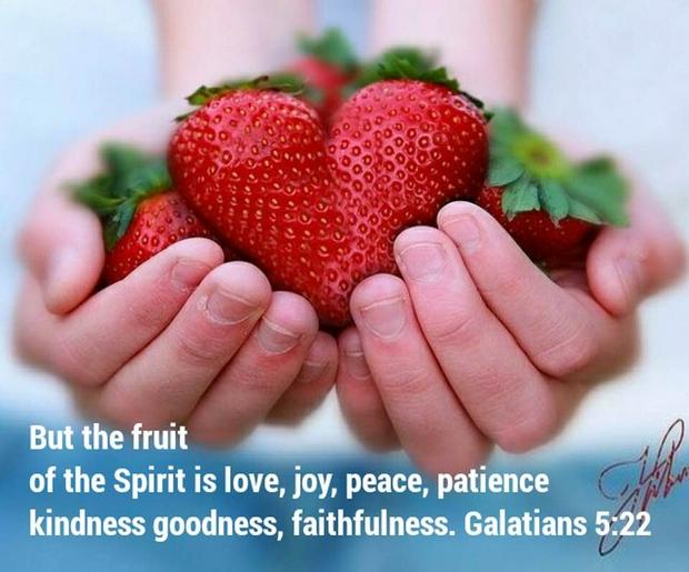 the-fruits-of-spirit-love-patienceIS.jpg