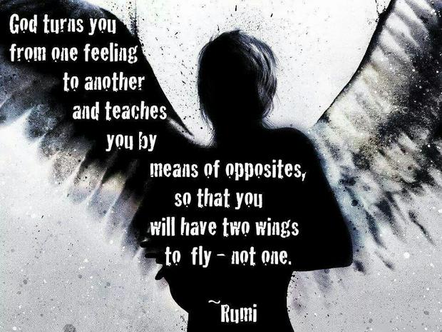 TWO-WINGS-TO-FLY-RUMI-IS.jpg