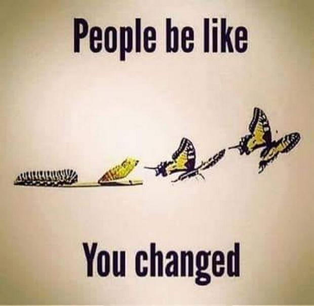 you-changed-catterpillar-to-butterflyIS.jpg