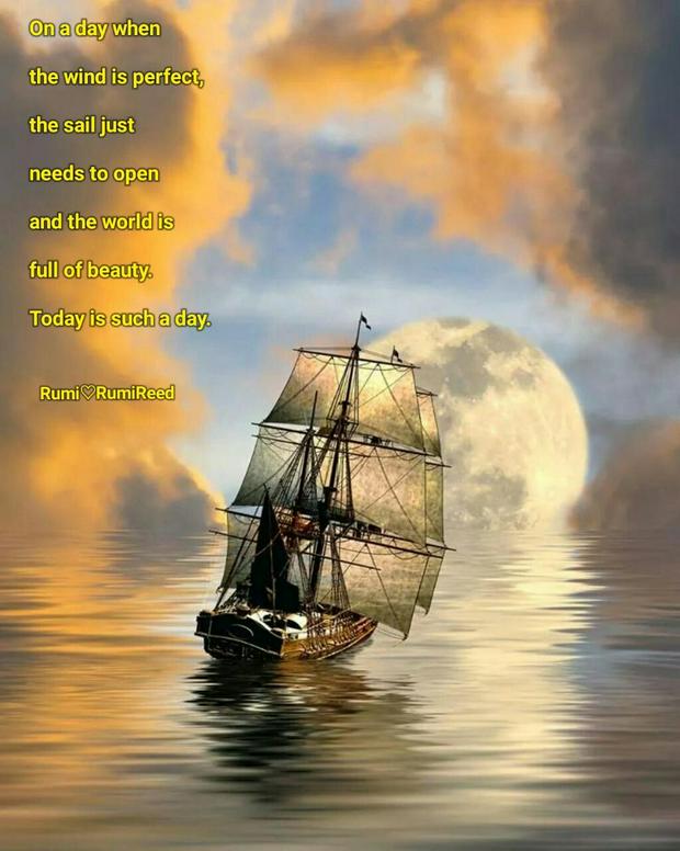 wind-sail-Rumi-IS.jpg