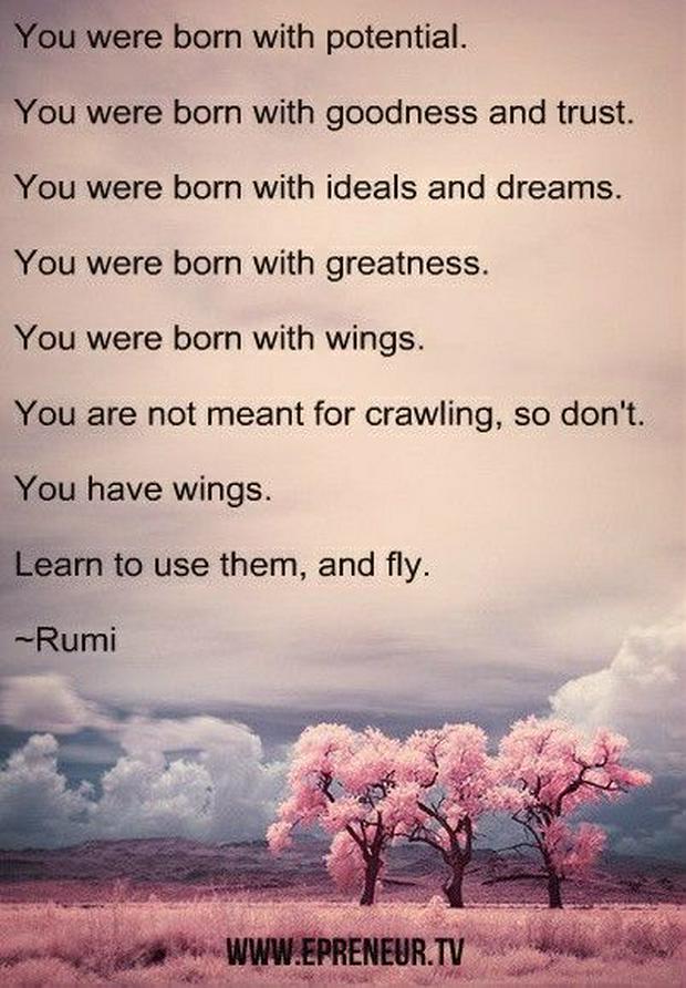 born-with-potentials-and-ideals-wings-rumi-IS.jpg