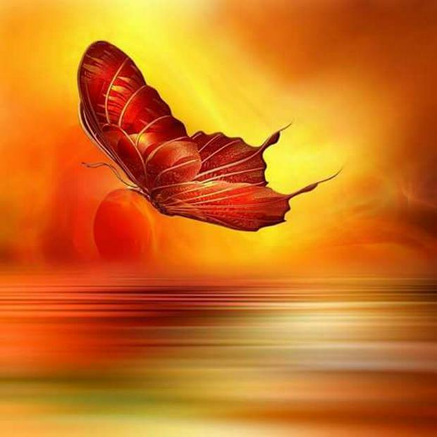 surreal-butterfly-in-red-sky.jpg