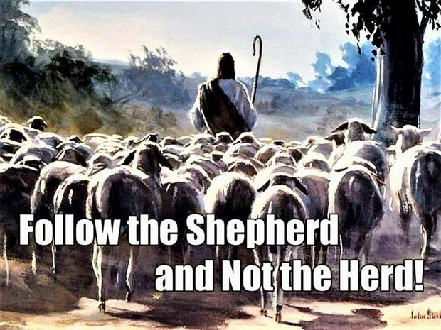 follow-the-shepherd-and-not-the-herd.jpg