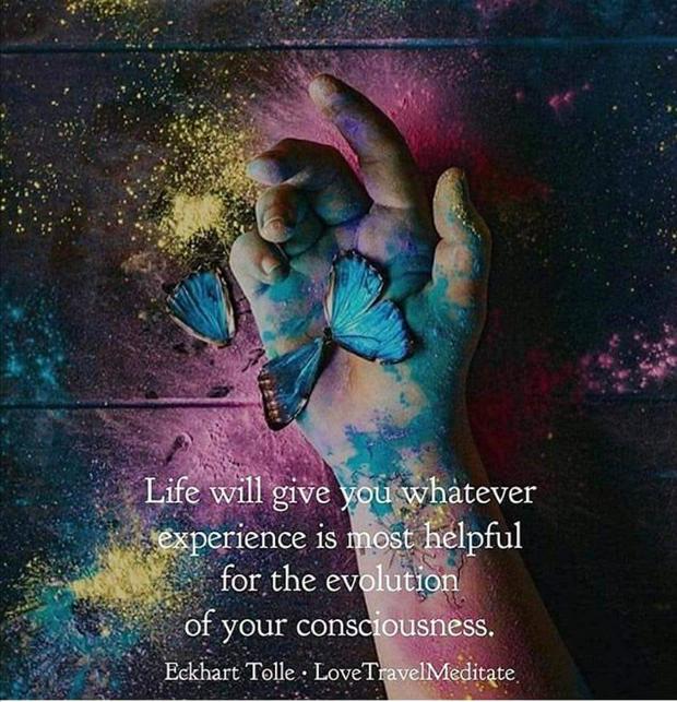 life-experience-evolution-consciousness.jpg