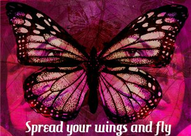 spread-your-wings-and-fly.jpg