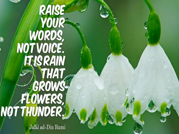 Rumi-Raise-your-words-not-voice-it-is-rain-that-grows-flowers-not-thunder.jpg