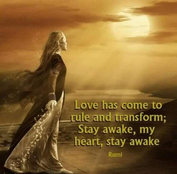 love-rule-transform-stay-awake-my-heart_0.jpg