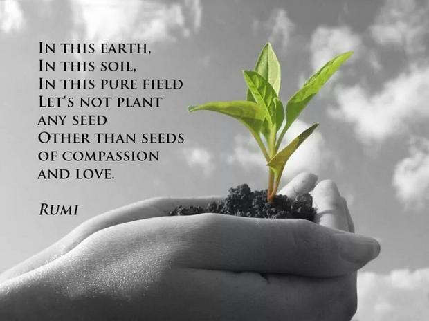 earth-soil-plant-compassion-love-IS.jpg