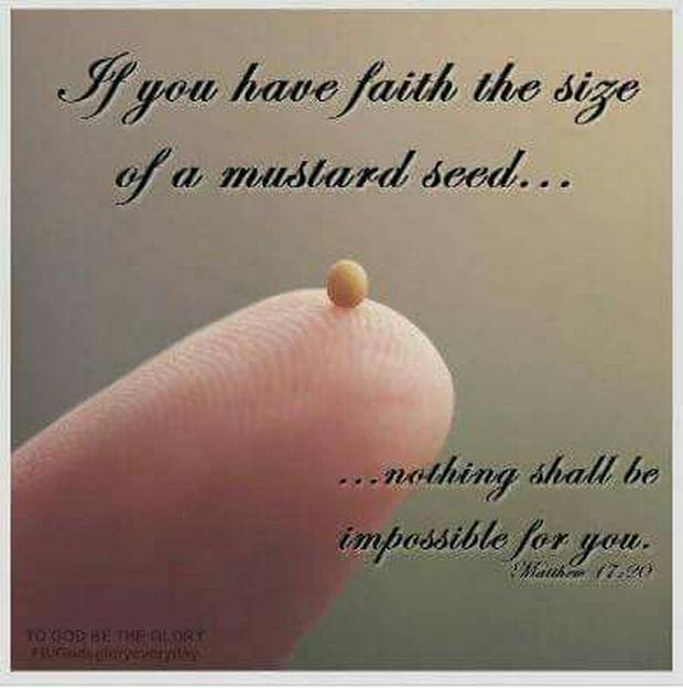 faith-of-a-mustard-seed-IS.jpg