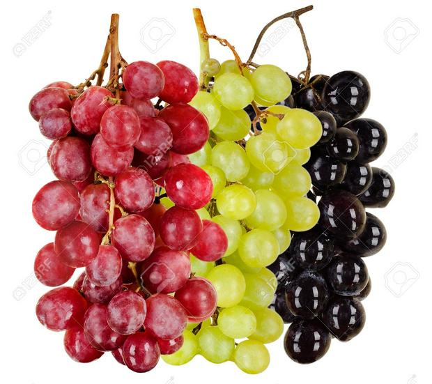 grapes.jpg