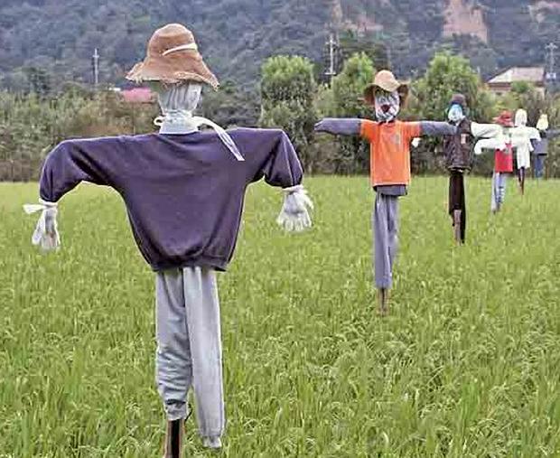 scarecrows.jpg