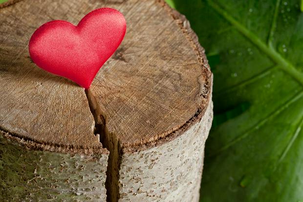 heart-on-wood.jpg