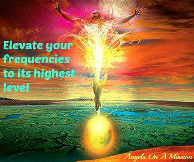 Elevate-your-frequencies.jpg