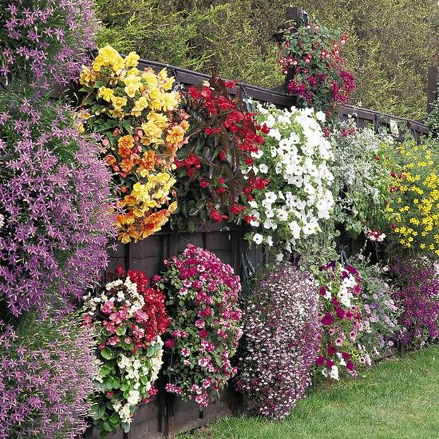 flower-fence.jpg