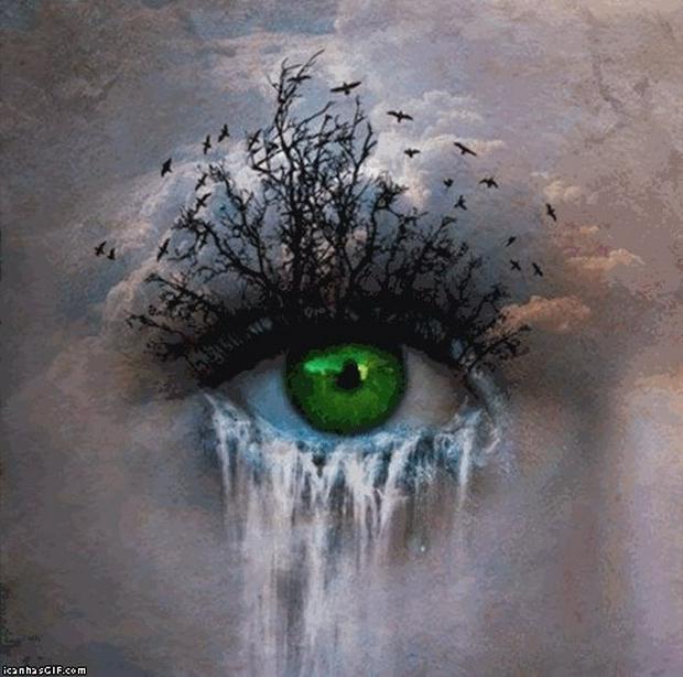 eye-birds-waterfall.jpg