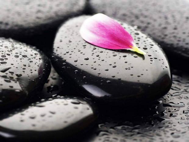 rose-petal-on-stones.jpg