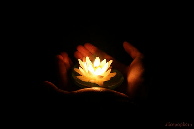 lotus-in-hand.jpg