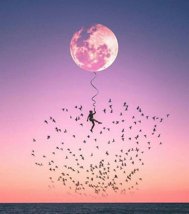 man-hanging-to-the-moon-with-birds.jpg