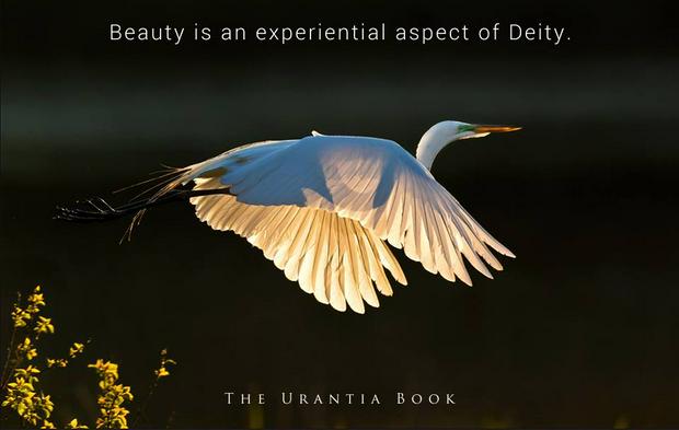 Beauty-is-an-experiential-aspect-of-Deity.jpg