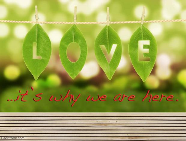 Love-is-why-we-are-here-IS.jpg