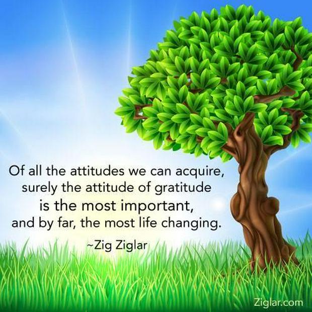 The-attitude-of-gratitude-IS.jpg