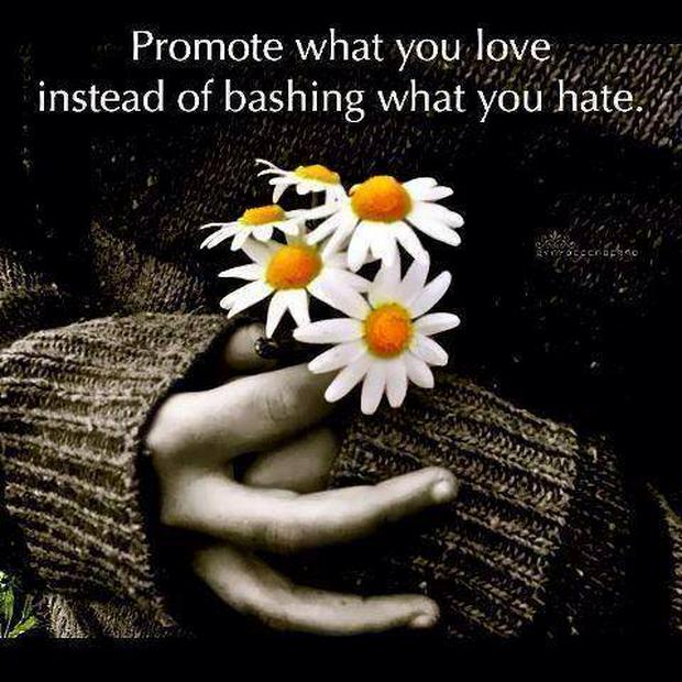 Promote-what-you-love-instead-of-bashing-what-you-hate2-IS.jpg