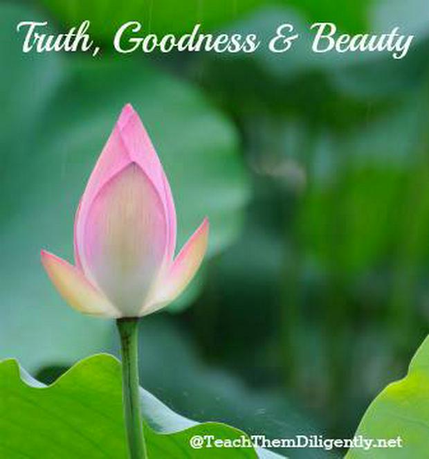 truth-goodness-and-beauty-IS.jpg