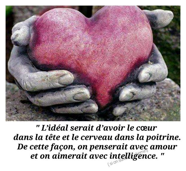 lideal-serait-davoir-le-coeur-dans-la-tete-IS.jpg