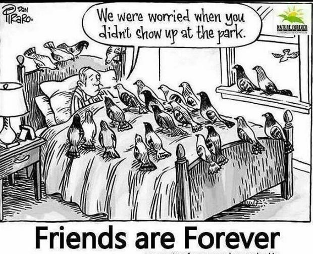 Friends-are-ForeverIS.jpg