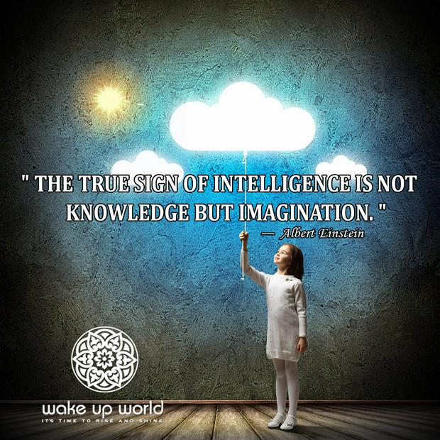 the-true-sign-of-intelligence-is-imaginationIS.jpg