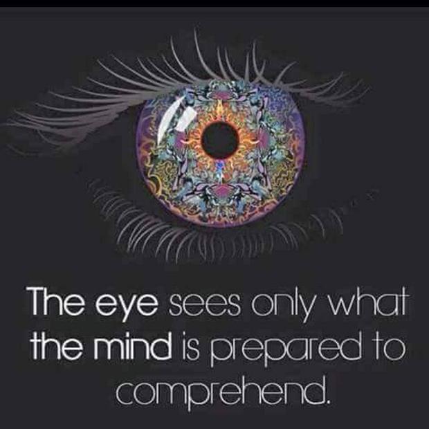 the-eye-sees-only-what-the-mind-is-prepared-to-comprehendIS.jpg