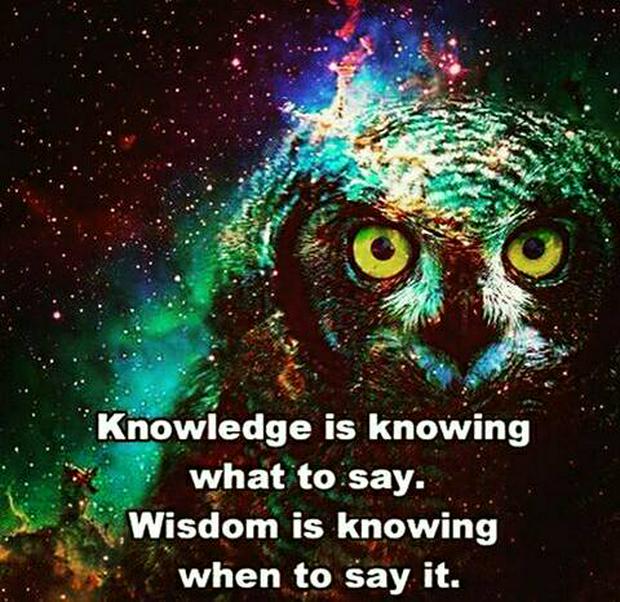 knowledge-and-wisdom-IS.jpg